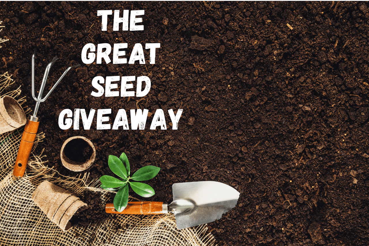 the great seed giveaway with dirt and shovels
